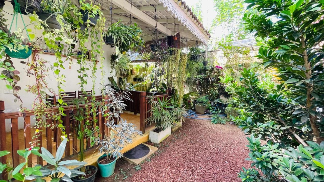 Bouganvilla House ウナワトゥナ エクステリア 写真